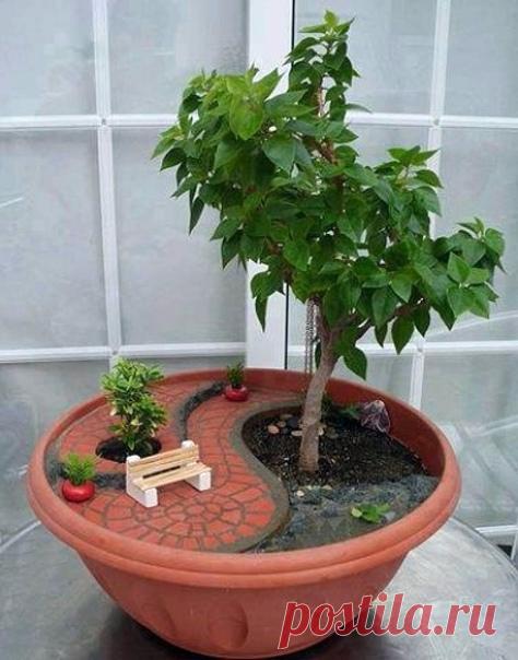 КАК ВЛИЯЕТ ЦВЕТ ПИЩИ НА БОЛЕЗНИ 1. Продукты белого цвета — молоко и молочные продукты, рис, чеснок, белокочанная капуста — успокаивают, снимают раздражительность и выводят через почки токсичные вещества. 2. Зеленые продукты (брокколи, листовые салаты, зеленый горошек, зеленый перец) положительно влияют на мозговую деятельность, снимают нервное напряжение. Хлорофилл, который производится в зеленых растениях под воздействием солнечной энергии, стимулирует образование полезных красных кровяных…