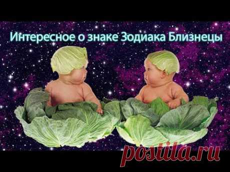 Интересное о знаке зодиака Близнецы с юмором - YouTube
