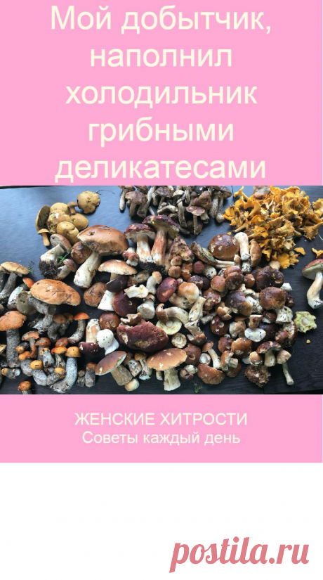 Мой добытчик, наполнил холодильник грибными деликатесами