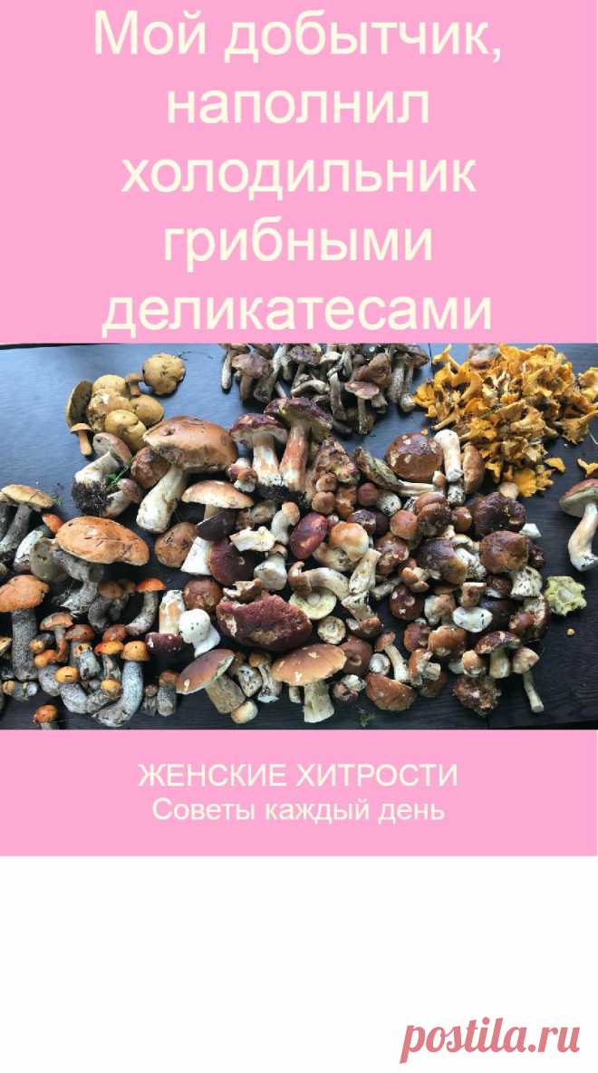 Мой добытчик, наполнил холодильник грибными деликатесами