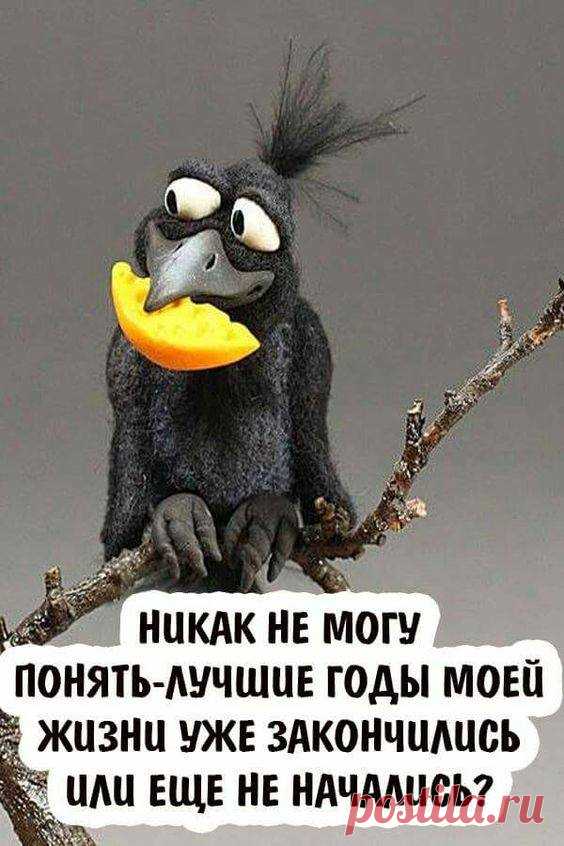 (71) Facebook