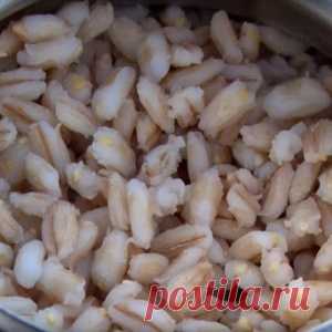 Перловка для карася - МирТесен