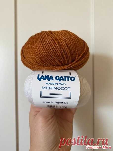 Отзыв о пряже Lana Gatto Merinocot