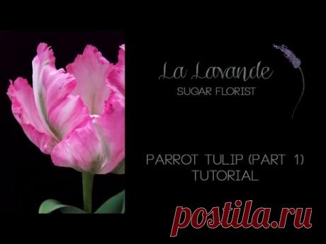 How to make Gumpaste Parrot Tulip Tutorial Part 1