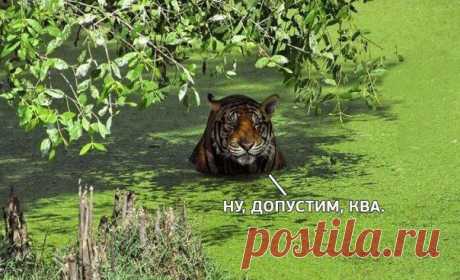 Диалоги