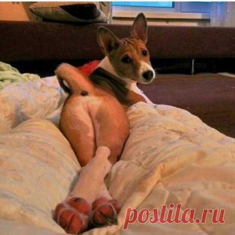 📝 Если я буду такой как все, то кто же будет такой как я? 🔝 Друзья, будьте счастливы, полны сил, не ждите чудес — чудите сами)))
.
.
.
👆👆👆 Ваш 💒 бизнес на расстоянии одного клика. #proektonline Ссылка в шапке профиля. Пожалуйста, свяжитесь со мной, чтобы узнать больше.
.
.
#позитив #моясемья #вгостях #приветобед #23января #друг #друзьярядом #подруги #друзьятоварищи #друзьяшки #друзьянавсегда #свои #мой #друзьям #кореша #подругинавсегда #друзьями #подругидетства #подр...