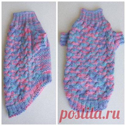 (8) Одноклассники