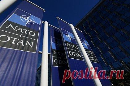 Кремль не удивился критическим заявлениям Трампа о НАТО. Официальный представитель Кремля Дмитрий Песков указал, что в критических заявлениях экс-президента США Дональда Трампа о НАТО и его намерениях в отношении альянса нет никакой новизны. Песков призвал вспомнить, что в период президентства Трампа подобные намерения были одним из главных его посылов.