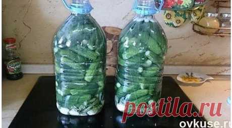 Соленые огурцы (как из бочки) в пластиковой бутылке. Этот рецепт очень простой,для ленивых хозяек. Огурцы получаются солено-квашенные, как из бочки. 
В пустую 5-литровую пластиковую бутылку кладем промытые зонтики укропа, листья черной смородины,вишни, хрена (я добавляю еще немного кусочков корня хрена, так получается острее), 2 головки чеснока (очищенные и разобранные на дольки), горький красный перец (0,5-1 штучки будет достаточно). Можно добавить зерна горчицы или то, что вы любите класть пр
