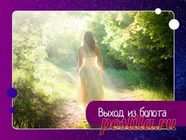 Начинать сначала приходится чаще всего не от хорошей жизни. Но есть ситуации, когда это просто необходимо, не говоря уже о тех моментах, когда нужно не только суметь начать сначала, но и успеть сделать это вовремя, иначе будет поздно и уже ничего не измен «Жизненное болото» — одна из таких ситуаций. Она напоминает знаменитые авгиевы конюшни из двенадцати подвигов Геракла. Болото образуется из накапливающихся в течение длительного времени, месяцами, а иногда и годами нереше...