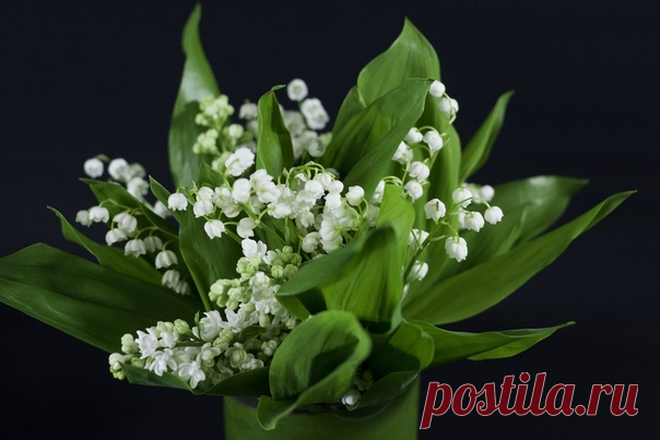 – 10 Мая 2020 г. – Воскресенье • Международный день матери (Mother`s Day)110 лет • Праздник наката • День девяти жизней • День основания Российской книжной палаты103 года • Вешнее Макошье • День памяти преподобного Стефана Печерского, епископа Владимиро-Волынского • Международный день матери (Mother`s Day)110 лет • Праздник наката • День девяти жизней • День основания Российской книжной палаты103 года • Вешнее Макошье • День памяти преподобного Стефана Печерского, епископа Владимиро-Волынского…