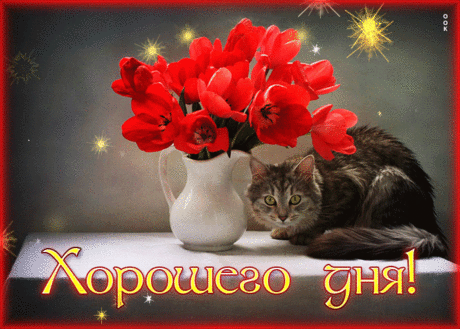 Картинка хорошего дня с букетом цветов и кошечкой