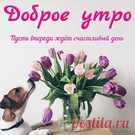 Доброе утро спешу пожелать,
Пусть этот день для тебя будет ярок!
Чтобы сегодня на крыльях летать —
Доброе утро! — мой главный подарок.