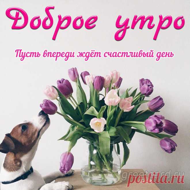 Доброе утро спешу пожелать,
Пусть этот день для тебя будет ярок!
Чтобы сегодня на крыльях летать —
Доброе утро! — мой главный подарок.