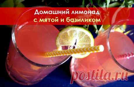 Домашний лимонад с мятой и базиликом Рецепт невероятно вкусного домашнего лимонада с листьями мяты и базилика. Необычный вкус, очень красивый цвет, натуральный состав!