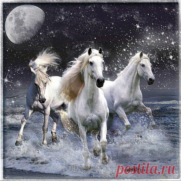 Шепотки на удачу