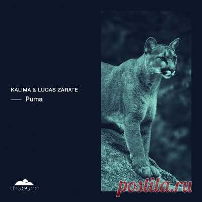 Kalima & Lucas Zárate – Puma - FLAC Music