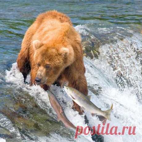 хх