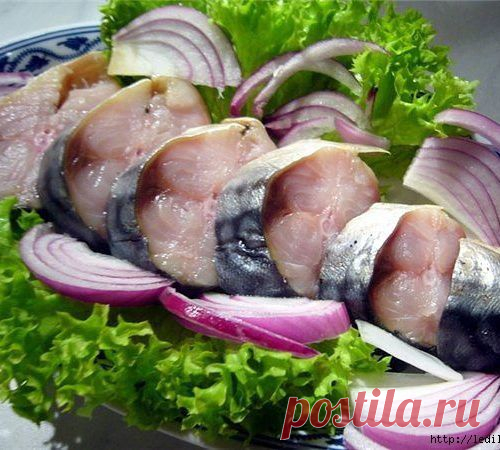 Маринуем скумбрию