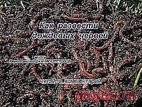 Мои подписки | Постила.ru