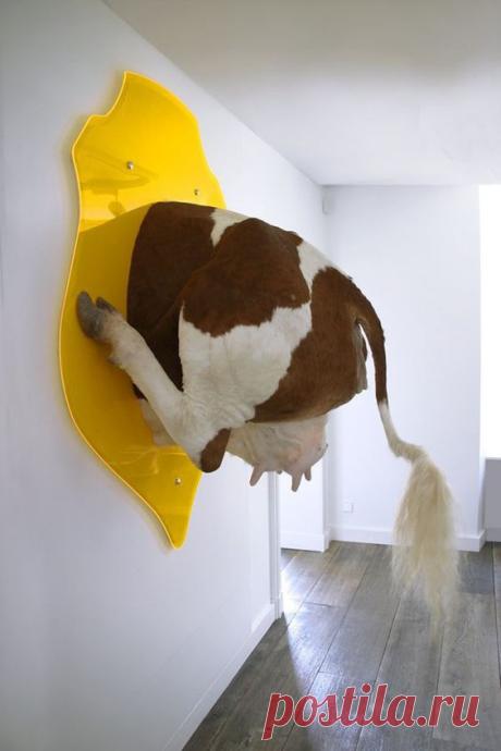 Странная таксидермия