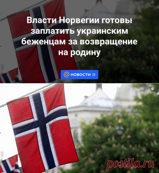 Власти Норвегии готовы заплатить украинским беженцам за возвращение на родину | 20 октября 2023 - Новости Mail.ru
