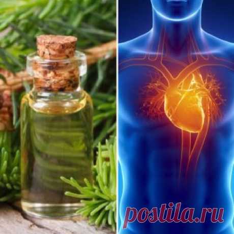 Этим лечились наши предки! Природное чудо, которое исцелит от множества болезней. — Копилочка полезных советов