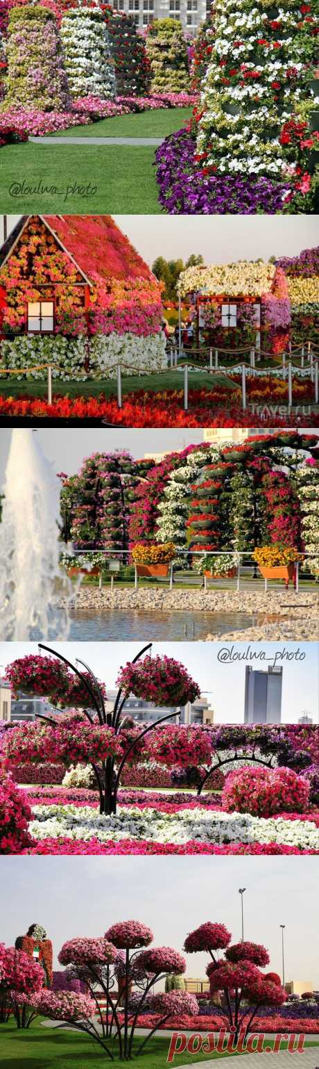 Dubai Miracle Garden - цветочное царство среди пустыни!.