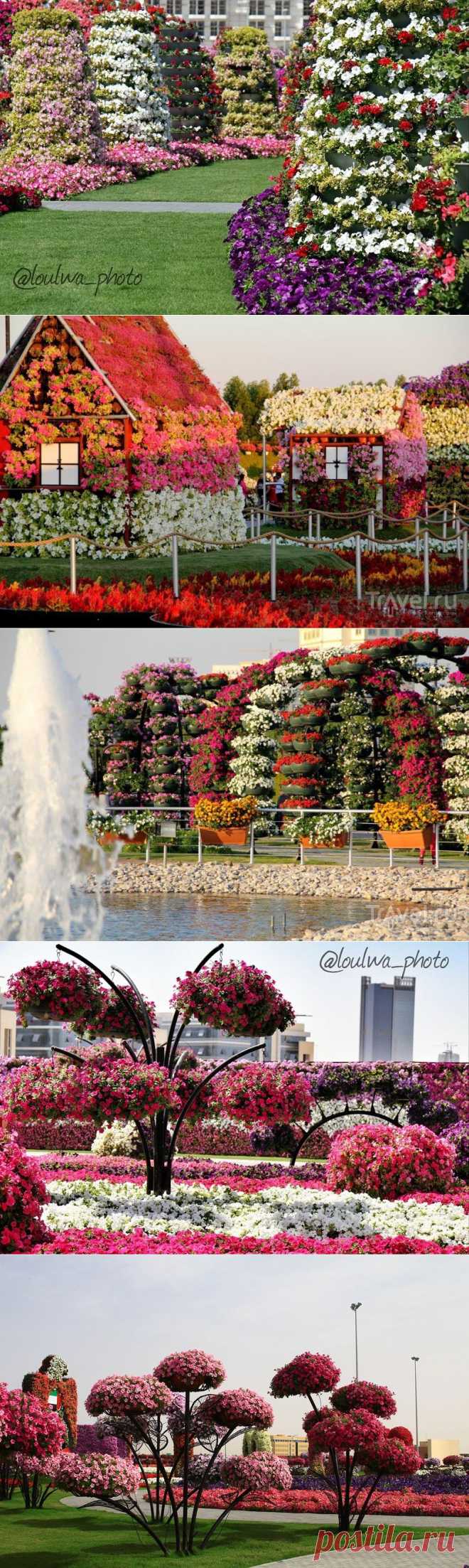 Dubai Miracle Garden - цветочное царство среди пустыни!.