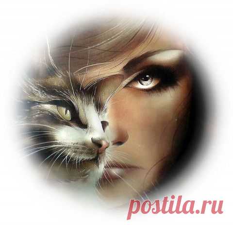 Не верьте женщинам и кошкам ... | Поболтаем ...
