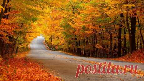 Листьев жёлтых, листьев красных, много в эти дни. посмотрите, как прекрасно выглядят они!