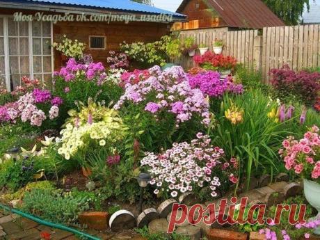 Дизайн home