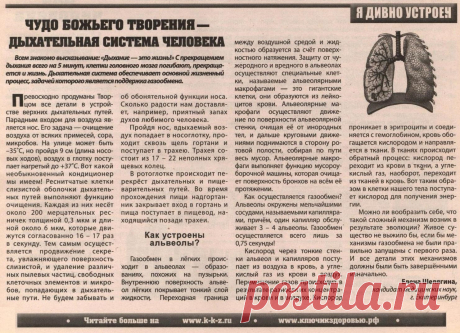 Я дивно устроен. Чудо Божьего творения - дыхательная система человека