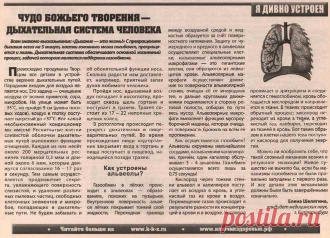Я дивно устроен. Чудо Божьего творения - дыхательная система человека