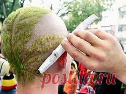 Германия на пути к легализации марихуаны