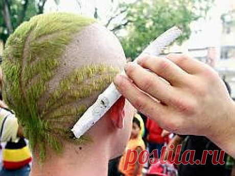 Германия на пути к легализации марихуаны