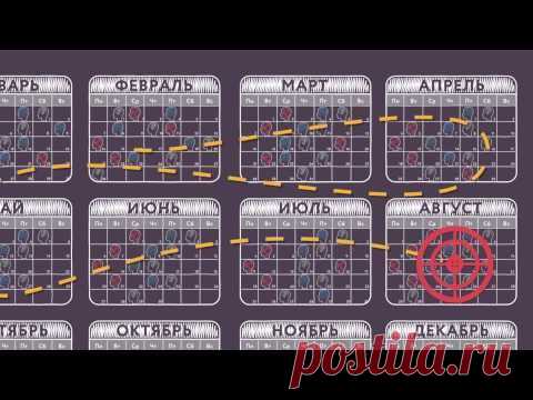 Wikium Развивай память, внимание, логику и мышление с помощью игр