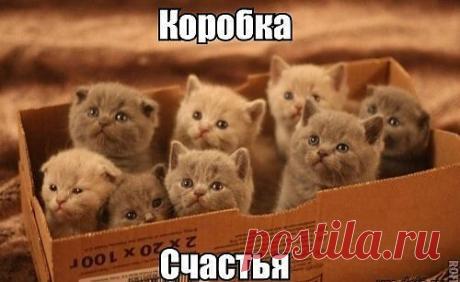 Мой Мир@Mail.Ru