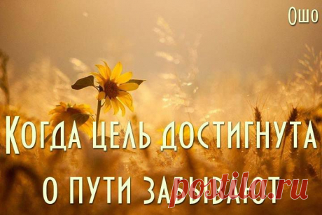 Конечно же, путь к успеху может быть нелегок и тернист, но все же конечный результат стоит всех ваших стараний. 
Вы уникальны, ведь у вас есть свой стиль.Трудолюбие, профессионализм и самодисциплина творят чудеса.
Помощь здесь - 
БЕСПЛАТНЫЙ КУРС - ЧТО МЕШАЕТ СТАТЬ УСПЕШНЫМ ДИСТРИБЬЮТОРОМ!