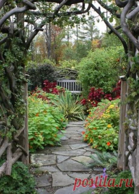 Как правильно посадить сад: секреты жизнестойкого сада на дачном участке – планирование и посадка