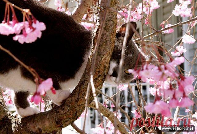 Функция половины генов зависит от пола