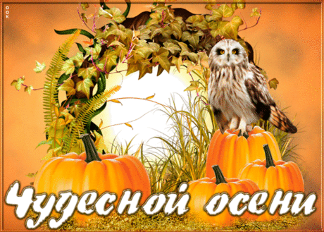 Картинка чудесной осени