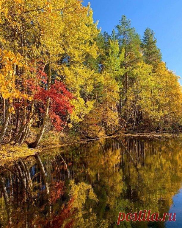 Архангельская область, Россия