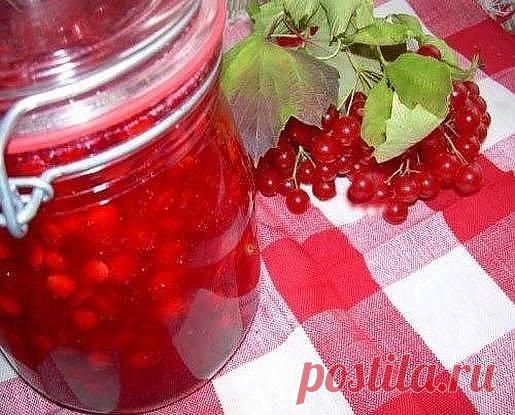 Лекарственные растения, фрукты, овощи | Студия развития и здоровья с Ниной Пановой