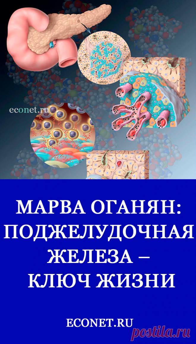 Марва Оганян: Поджелудочная железа – ключ жизни

Поджелудочная железа – ключ жизни, считают специалисты. Почему это так? Потому что длительность нашей жизни зависит от сохранности этой железы. Чем быстрее мы изнашиваем эту железу, тем быстрее мы умираем. А как мы ее можем сохранить и как мы ее губим?