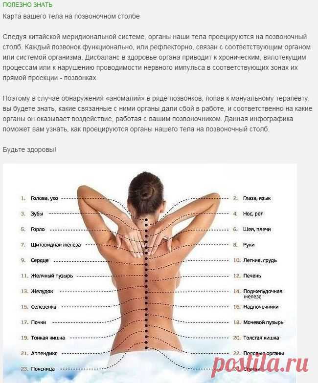 Карта вашего тела на позвоночном столбе.