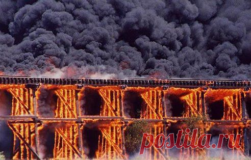 Мудрые мысли. Добавлена фотография в альбом Оригинальные статусы