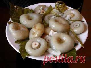 🍄10 ЗАГОТОВОК ИЗ ГРИБОВ НА ЗИМУ🍄
📌 Сохрани на стену чтобы не потерять.
1. 🍄Засолка грибов - холодный способ.
грибы (рыжики, черные и белые грузди, волнушки, сыроежки) - 1 кг
соль - 100 г
смородина - 10–12 листьев
вишня - 5–6 листиков
хрен - 2 листа
укроп - 2 зонтика
лавровый лист - 2–3 шт.
перец горошком - по вкусу
чеснок - по вкусу
Грузди, волнушки или сыроежки вымыть и залить холодной водой на 5–6 ч. (Рыжики не вымачивают, а только промывают). На дно деревянной или керамической посуды н
