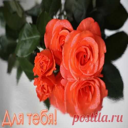 Я ЛЮБИТЬ ТЕБЯ БУДУ - МОЖНО ?