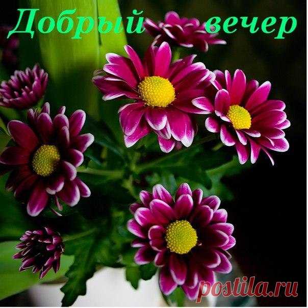 Добрый вечер.